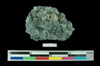 藏品(硫砷銅礦)的圖片